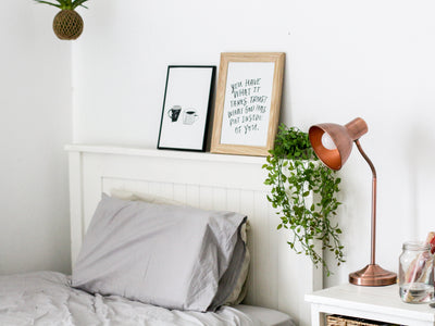 5 houseplants that will help to improve your sleep quality